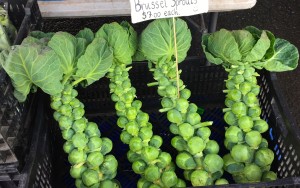 Eat Well - Brussell Sprouts